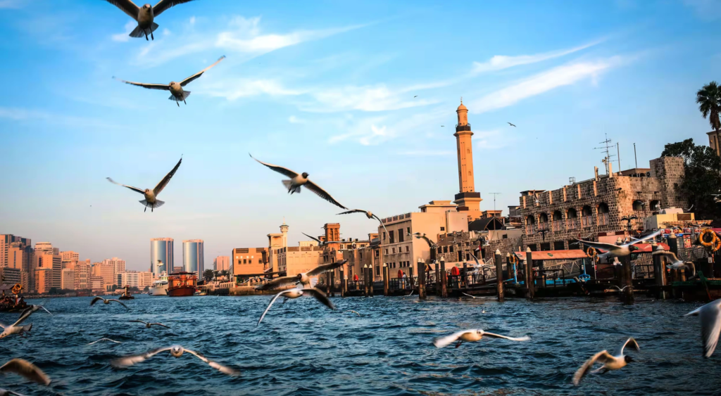 studio apartment in bur dubai